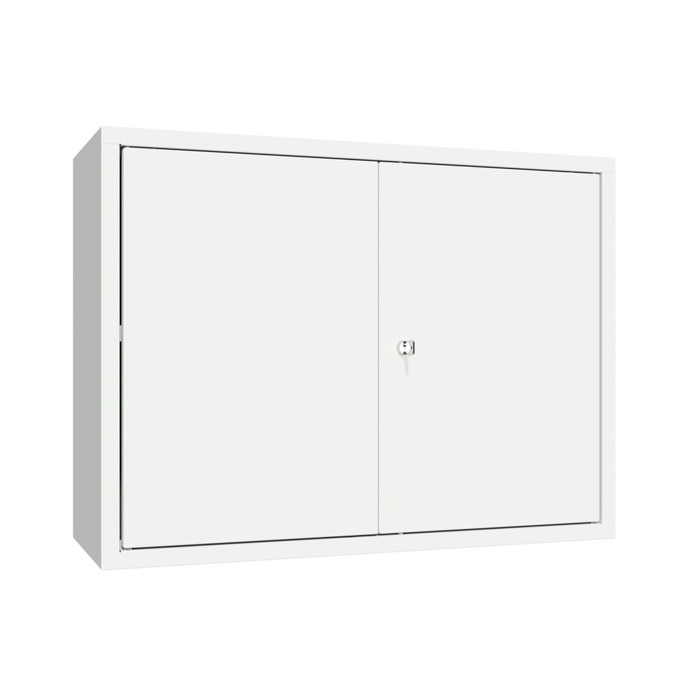 Produktabbildung Nr. 1: Armoire suspendue PAVOY, H x l x P 600 x 800 x 300 mm, gris clair, gris clair