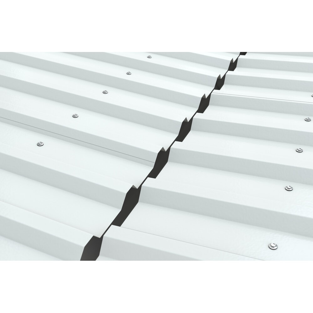 Produktabbildung Nr. 3: Canopy BASIC, 2 faces, travée auxiliaire, largeur 4.300 mm