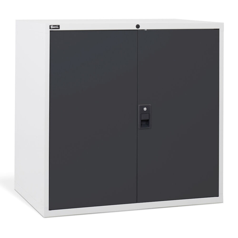 N° de l'image du produit 4 : Fami MASTER Armoire avec portes battantes, HxlxP 1 000 x 1 020 x 726 mm, gris clair, anthracite