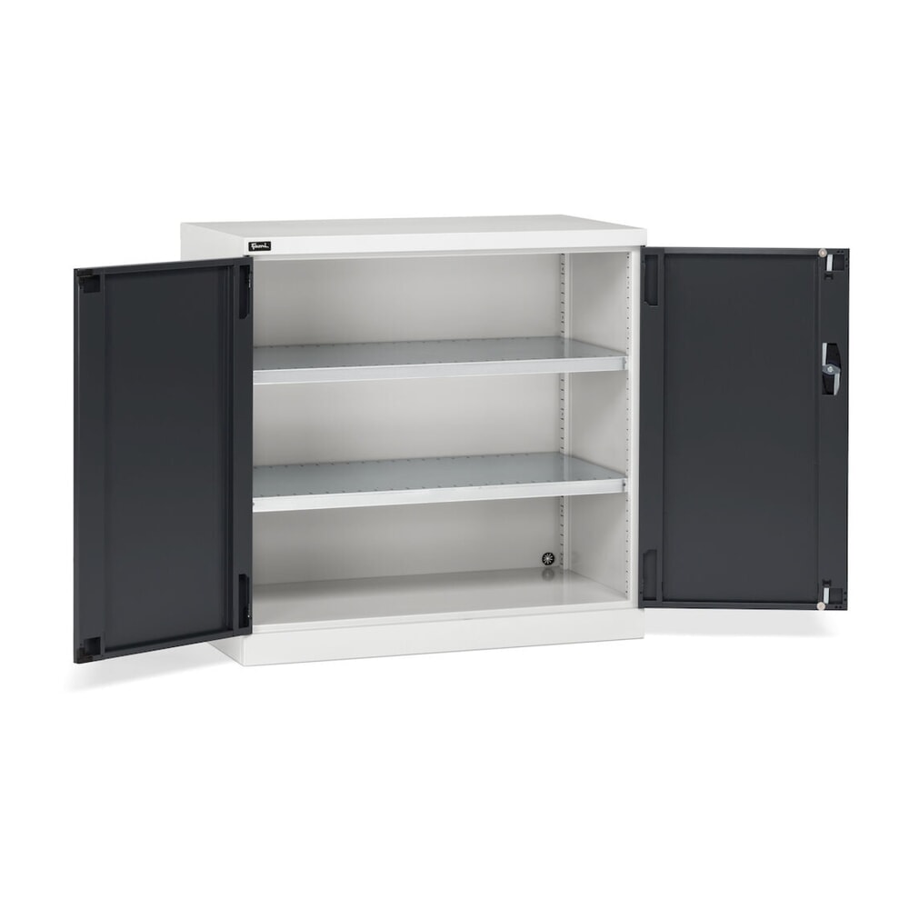 N° de l'image du produit 3 : Fami PERFOM Armoire à portes battantes, 2 tablettes, HxlxP 1 000 x 1 023 x 555 mm, gris clair, anthracite
