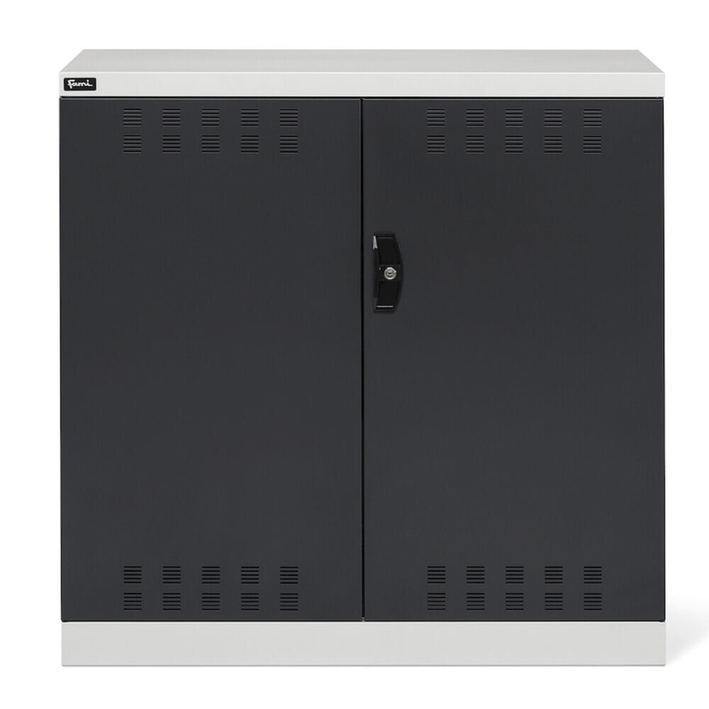 N° de l'image du produit 2 : Fami PERFOM Armoire à portes battantes, 2 tablettes, portes battantes perforées, HxlxP 1 000 x 1 023 x 555 mm, gris clair, anthracite