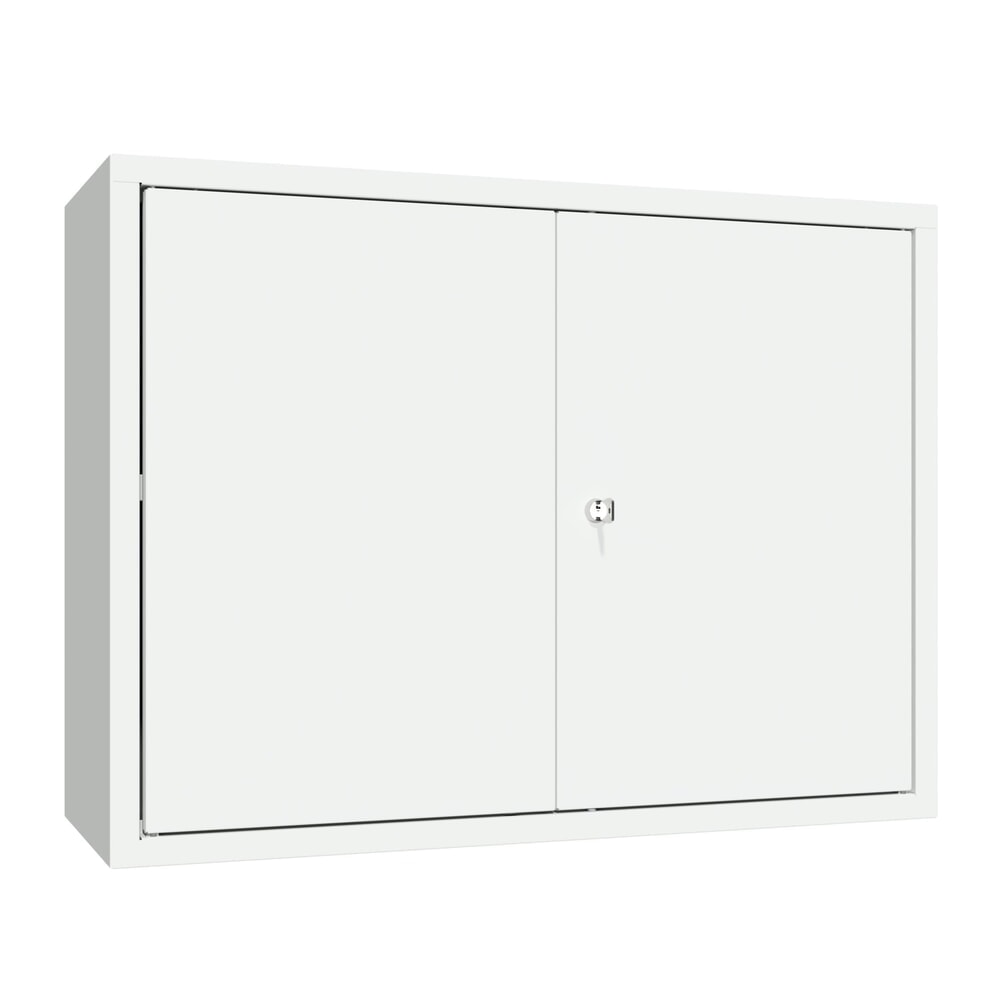 N° de l'image du produit 2 : Armoire suspendue PAVOY, H x l x P 600 x 800 x 300 mm, gris clair, gris clair
