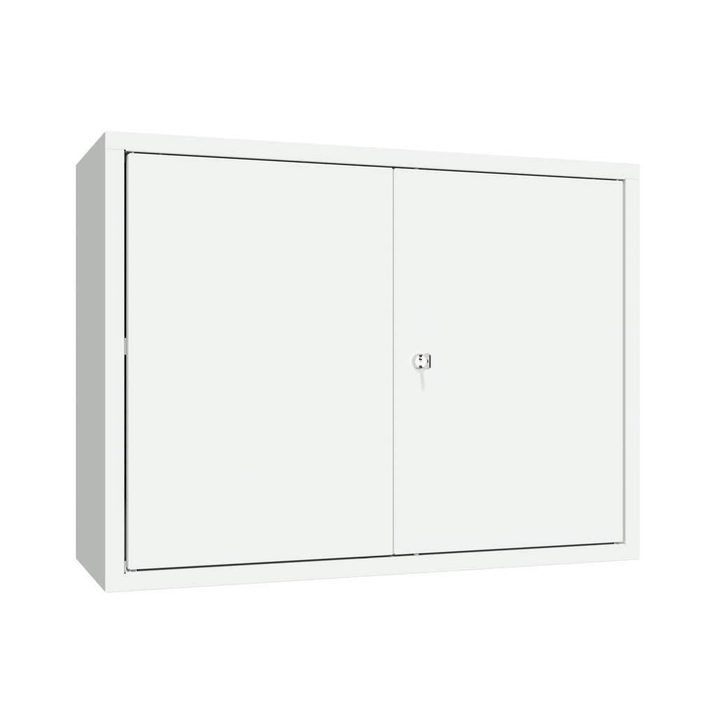 Illustration du produit: Armoire suspendue PAVOY, H x l x P 600 x 800 x 300 mm, gris clair, gris clair