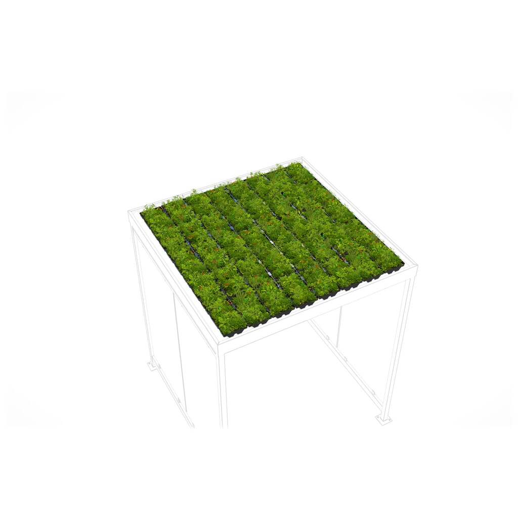Illustration du produit: Toiture végétalisée GREENPLUS Premium pour abri fumeurs wsm®, montage en usine, version Premium, env. 4 m²