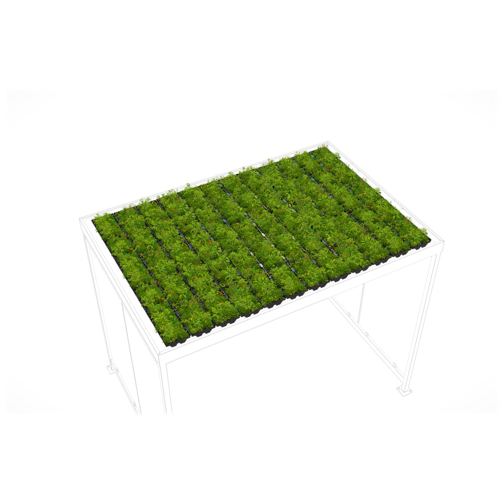 Illustration du produit: Toiture végétalisée GREENPLUS Premium pour abri fumeurs wsm®, montage en usine, version Premium, env. 6 m²
