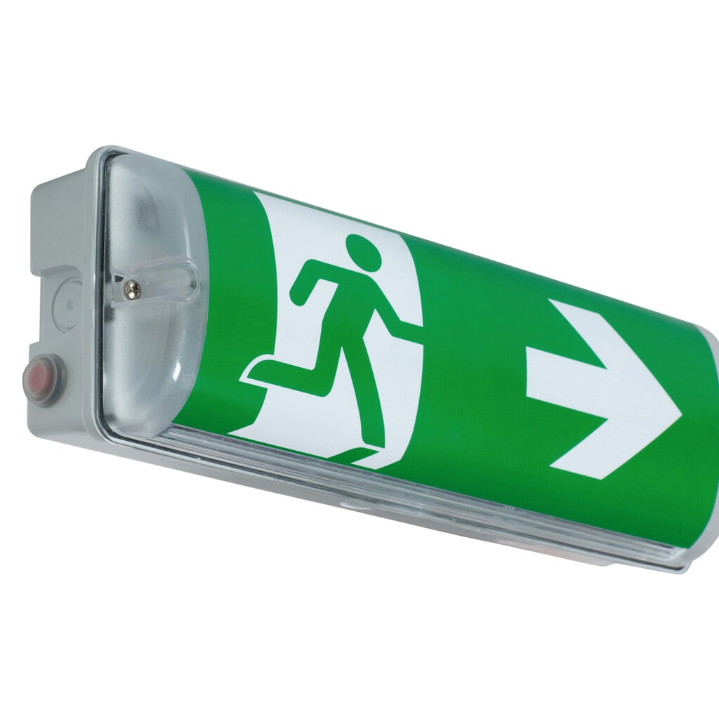 Éclairage de sécurité à pictogramme B-Safety V-LUX STANDARD, avec fonction de test manuel Illustration du produit: Éclairage de sécurité à pictogramme B-Safety V-LUX STANDARD, avec fonction de test manuel