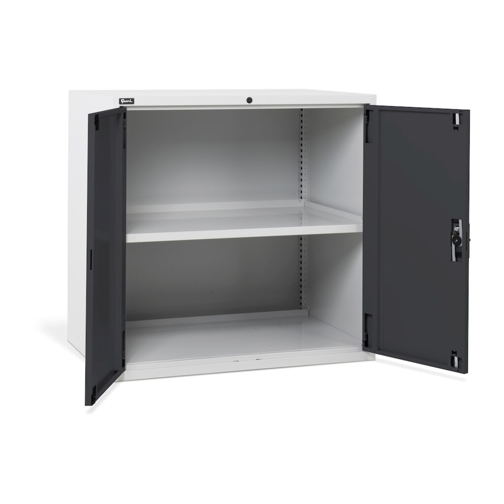 Illustration du produit: Fami MASTER Armoire avec portes battantes, HxlxP 1 000 x 1 020 x 726 mm, gris clair, anthracite
