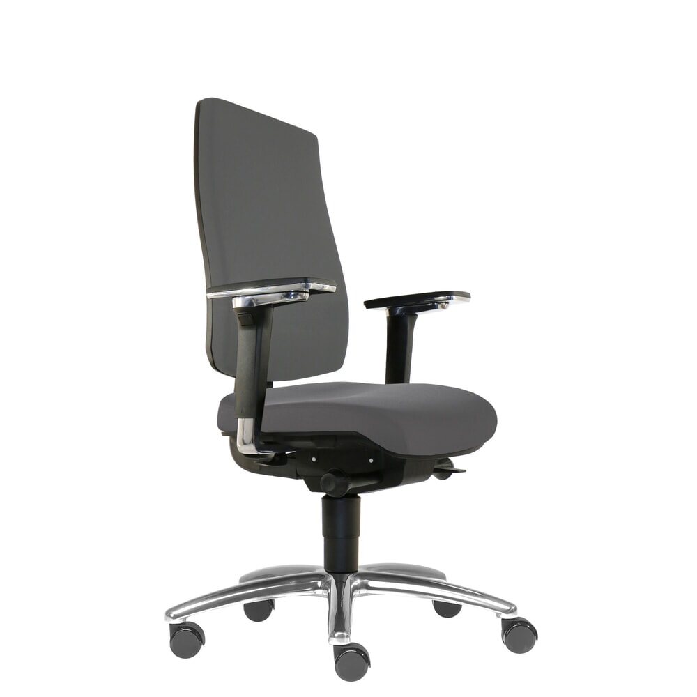 Illustration du produit: Chaise de bureau pour disque intervertébral SITWELL STEIFENSAND Cebra, coque arrière en plastique sur toute la surface, roulettes universelles, polyester, gris foncé