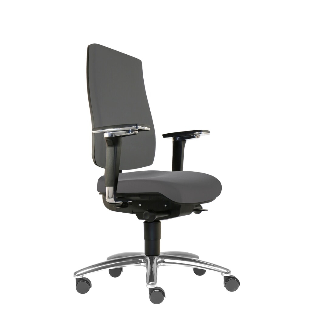 Chaise de bureau pour disque intervertébral SITWELL STEIFENSAND Cebra, coque arrière en plastique sur toute la surface, roulettes universelles, polyester, gris foncé Illustration du produit: Chaise de bureau pour disque intervertébral SITWELL STEIFENSAND Cebra, coque arrière en plastique sur toute la surface, roulettes universelles, polyester, gris foncé