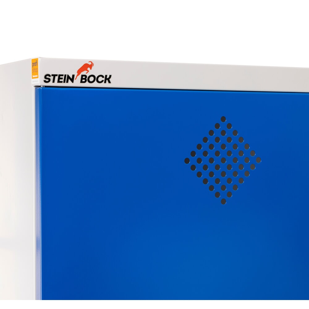 N° de l'image du produit 4 : Armoire à produits chimiques Steinbock® , 4 bacs de rétention au sol selon StawaR, haut. x larg. x prof. 1 950 x 950 x 500 mm
