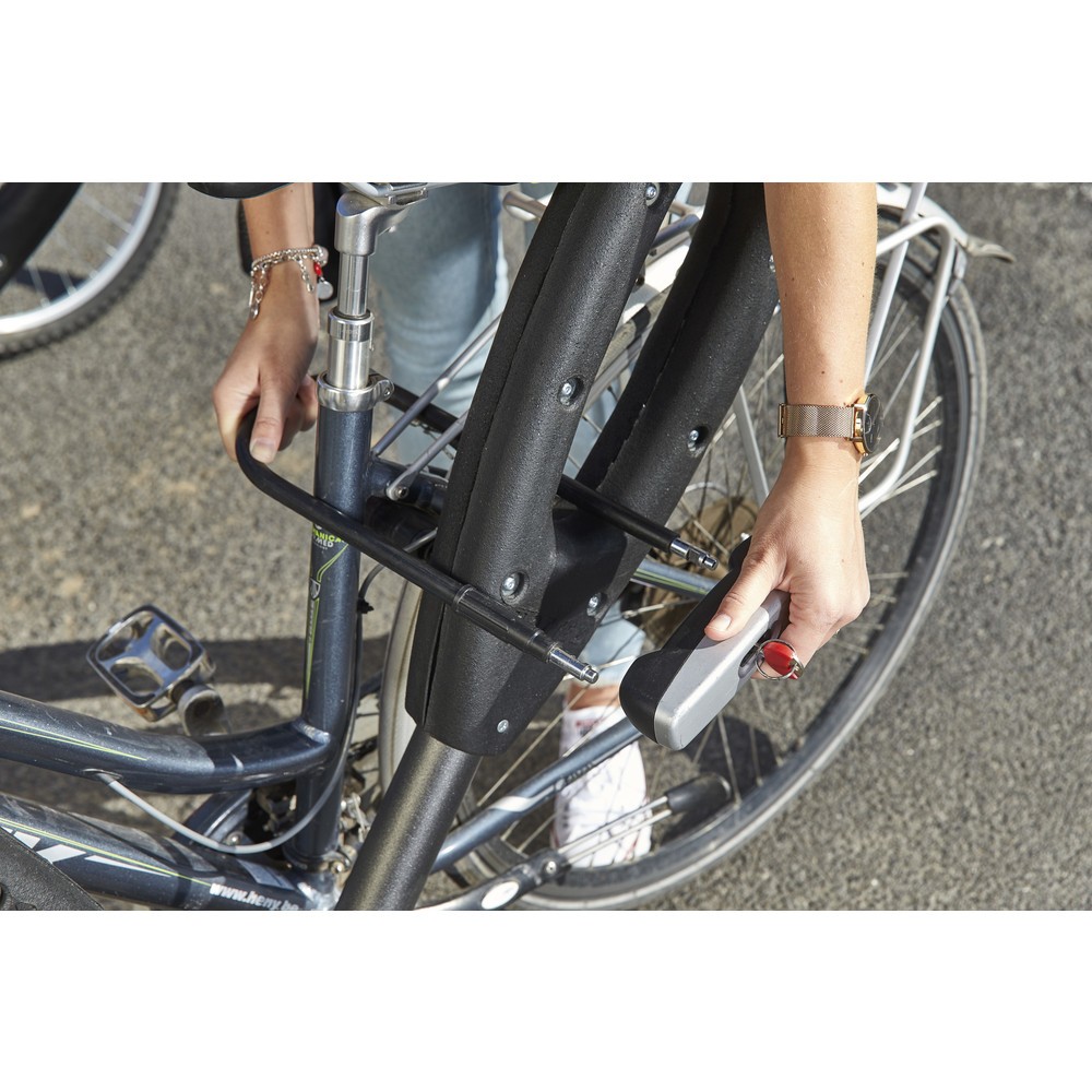 Produktabbildung Nr. 10: MOTTEZ paal voor 2 fietsen, lengte 950 mm