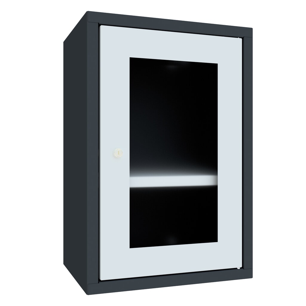 Product afbeelding: Hangkast PAVOY met kijkvenster, hxbxd 600 x 400 x 300 mm, lichtgrijs, antracietgrijs
