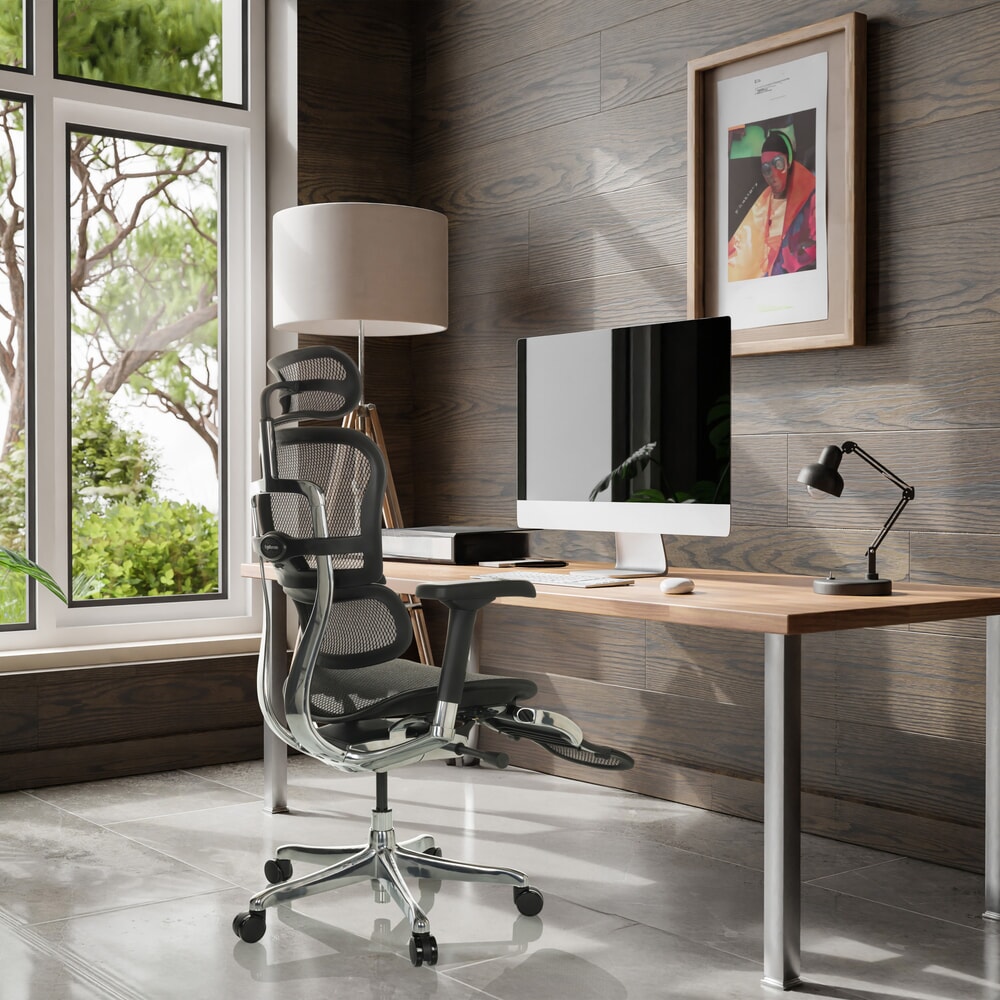 Productafbeelding nr. 4: hjh OFFICE directiestoel ERGOHUMAN PLUS LEGPRO GEN2, draagvermogen 150 kg, met beensteun, mesh-materiaal, zithoogte 480 - 580 mm, zwart