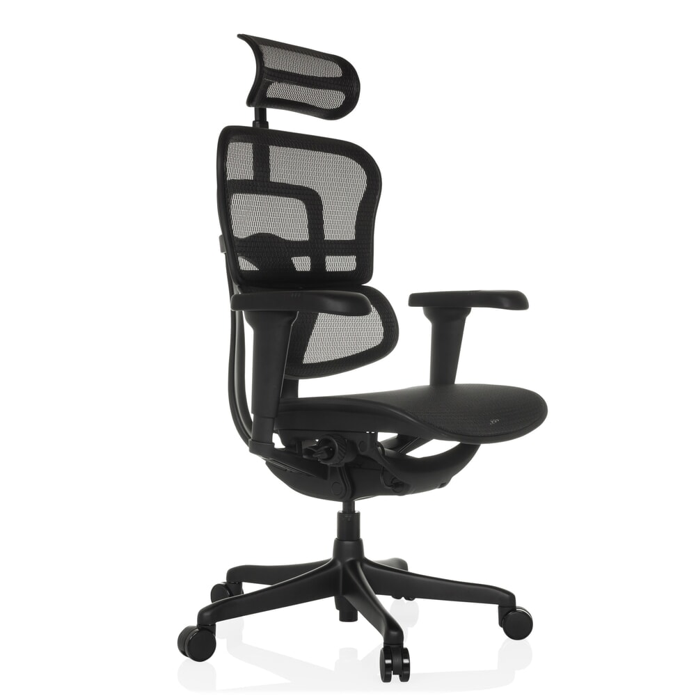 Productafbeelding nr. 8: hjh OFFICE directiestoel ERGOHUMAN SIGNATURE GEN2, mesh rugleuning, draagvermogen 120 kg, zithoogte 490 - 590 mm, zwart