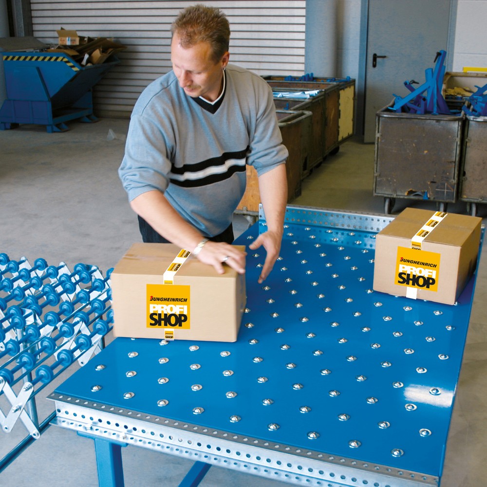 Productafbeelding nr. 4: BLUME kogelwielentafel U-profiel, Ø 15 mm, LxB 500 x 600 mm, deling 200 mm