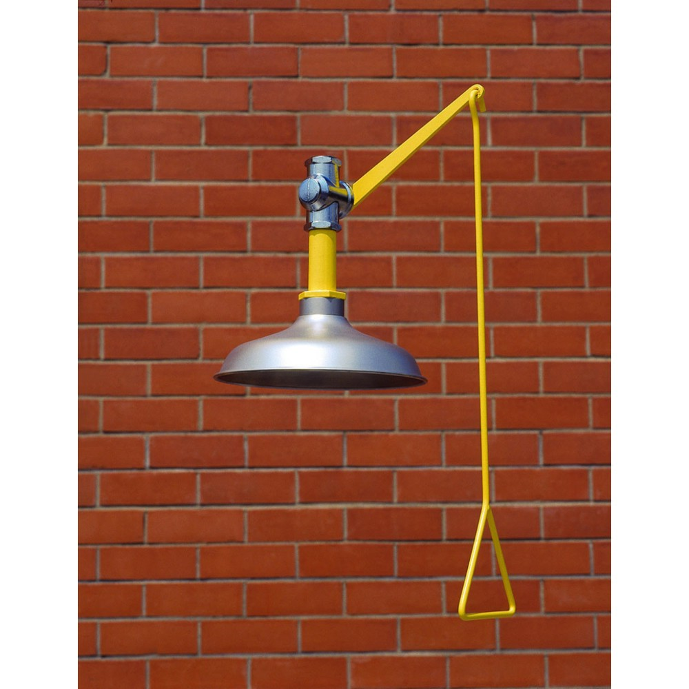 Product afbeelding: Lichaamsdouche Erbstößer®, DIN EN 15154-1/-5, plafondmontage, roestvrijstalen douchekop