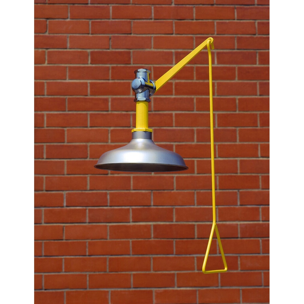 Product afbeelding: Lichaamsdouche Erbstößer®, DIN EN 15154-1/-5, plafondmontage, roestvrijstalen douchekop
