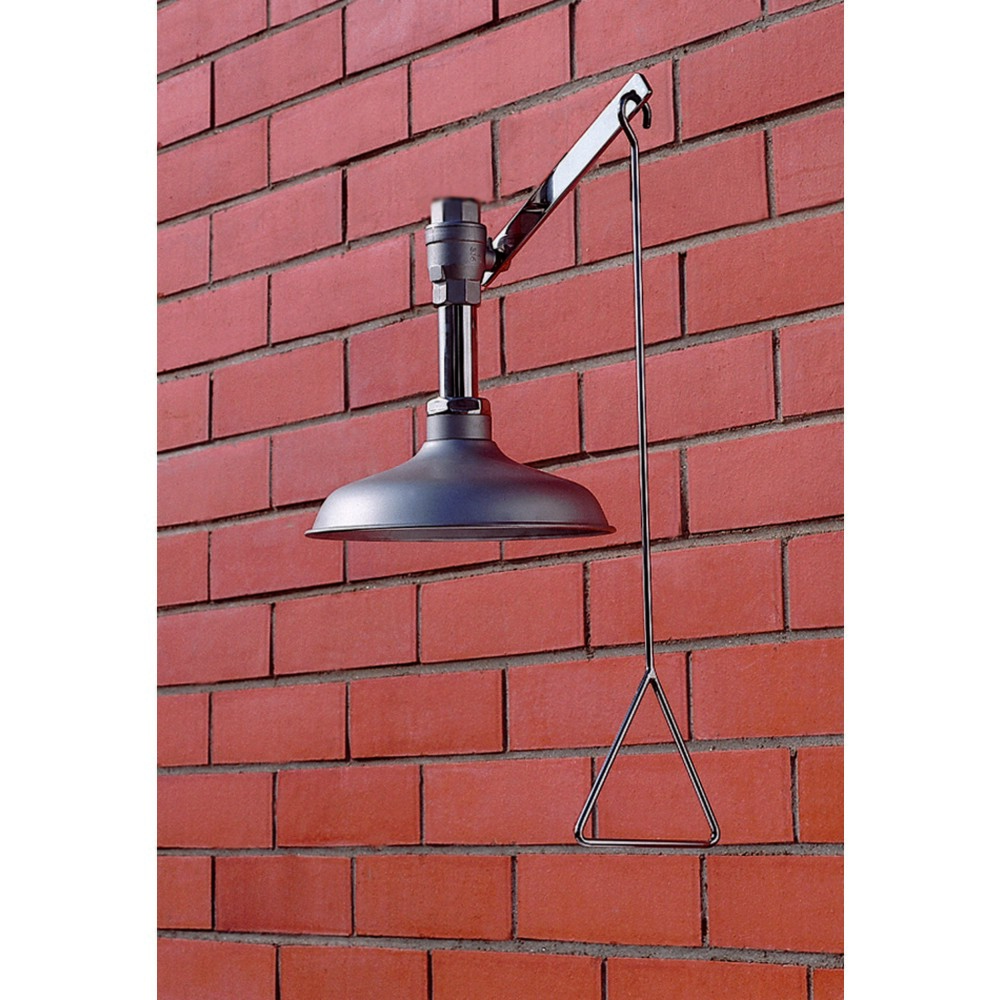 Product afbeelding: Lichaamsdouche Erbstößer®, DIN EN 15154-1/-5, plafondmontage, volledig van roestvrij staal