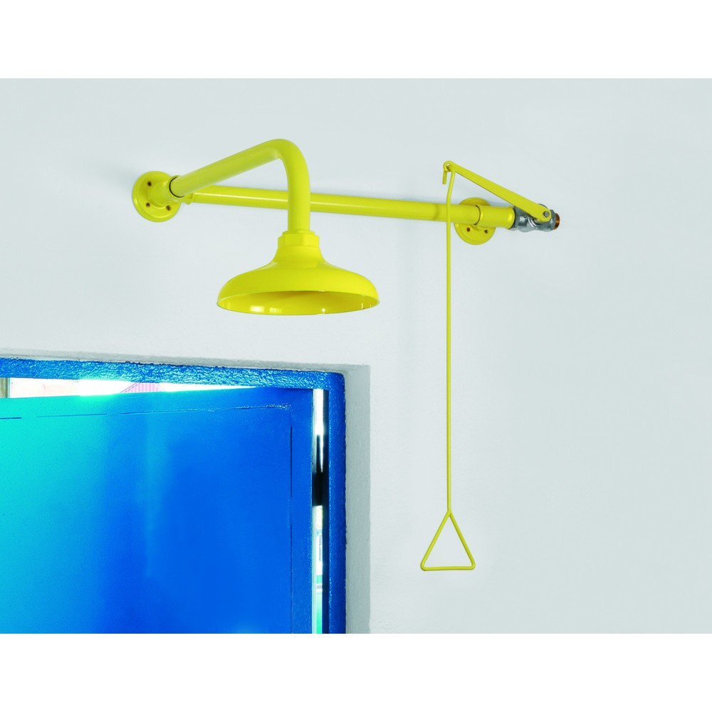 Product afbeelding: Lichaamsdouche Erbstößer®, DIN EN 15154-1/-5, wandmontage boven deur, kunststof douchekop