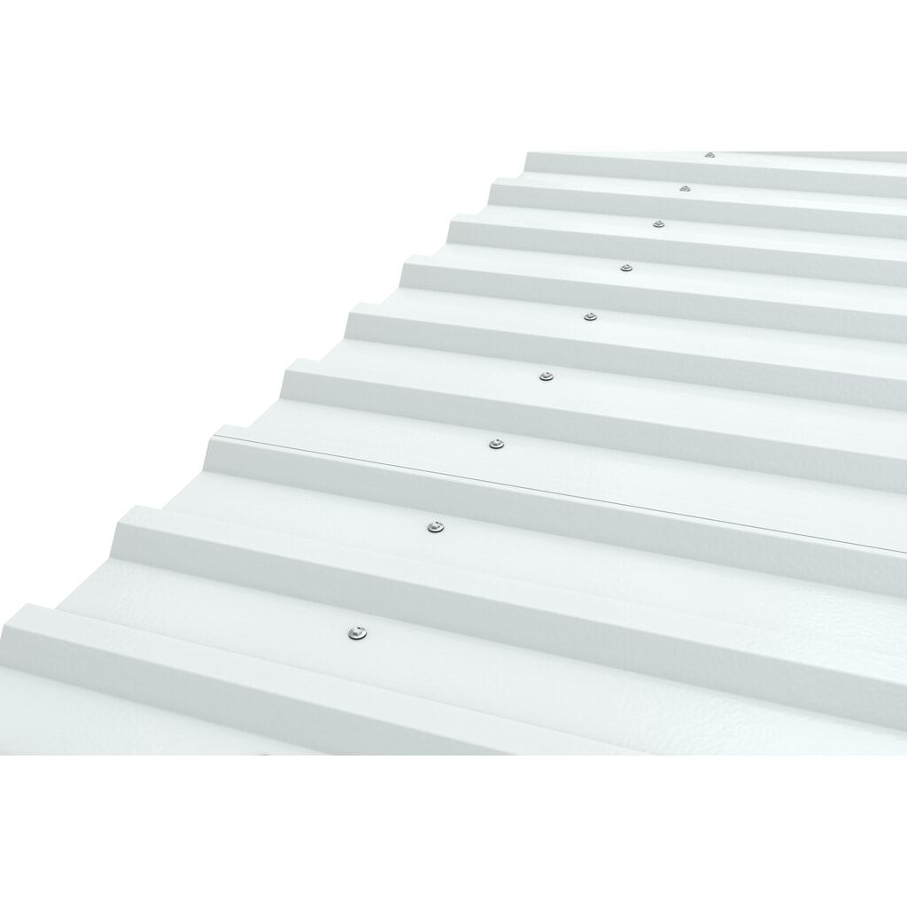Productafbeelding nr. 3: Overkapping BASIC, 1-zijdig, AE, breedte 4.300 mm