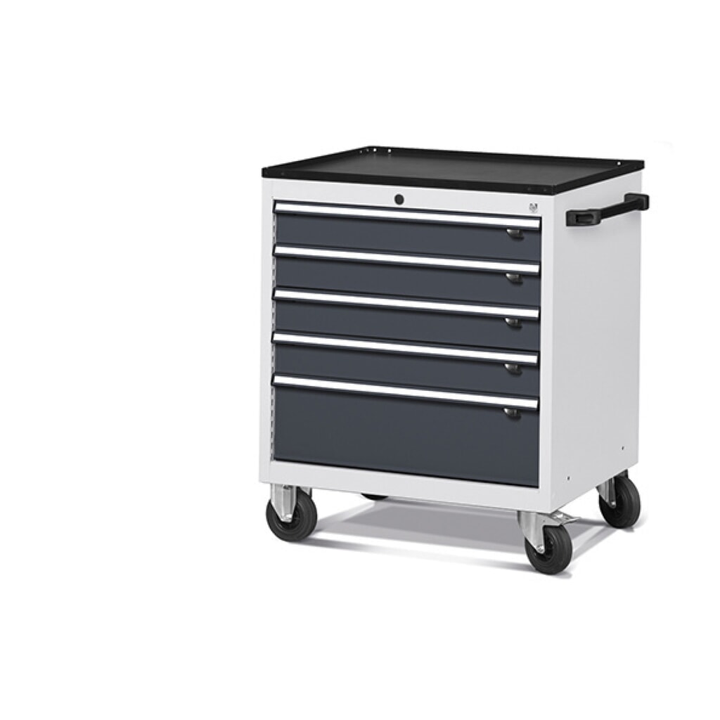 Verrijdbare ladekast Fami FLEXA, 5 lades, hxbxd 853 x 794 x 600 mm, lichtgrijs, antraciet Product afbeelding: Verrijdbare ladekast Fami FLEXA, 5 lades, hxbxd 853 x 794 x 600 mm, lichtgrijs, antraciet
