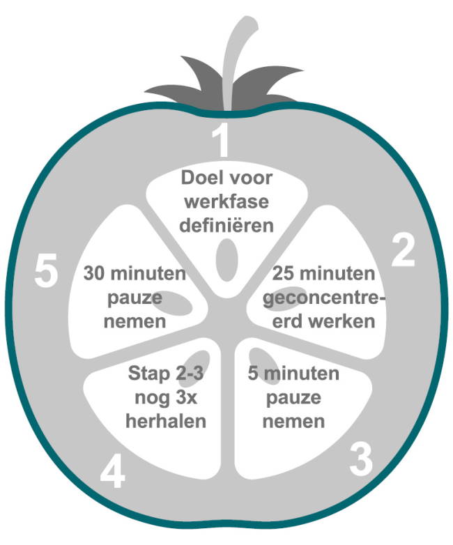 De afbeelding geeft een schematische weergave van een tomaat met de werkstappen van de Pomodoro-methode voor tijdmanagement.