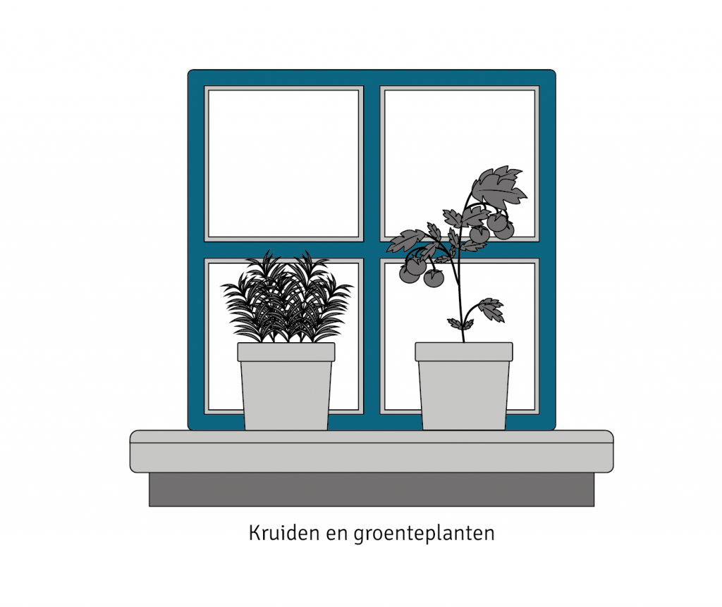 Plantenbakken met kruiden of groenteplanten